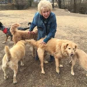 Meet your Posher, Janice